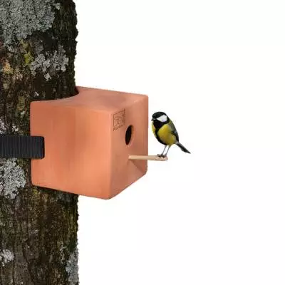 Nichoir carré à oiseaux - Fixation sur tronc d'arbre / Argile