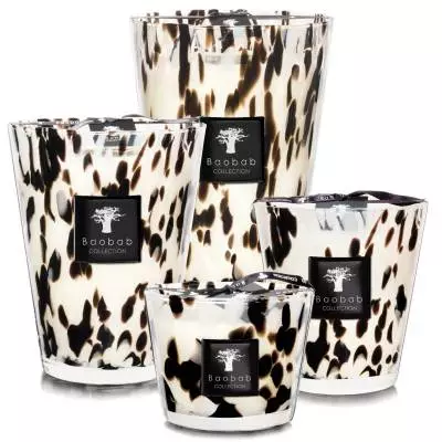 Bougie BLACK PEARLS / Parfum citrus hespéridée / Verre transparent et noir / BAOBAB