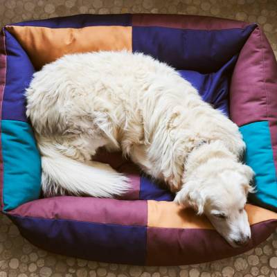 Lit géant pour chiens DOG BED / Polyester / HAY